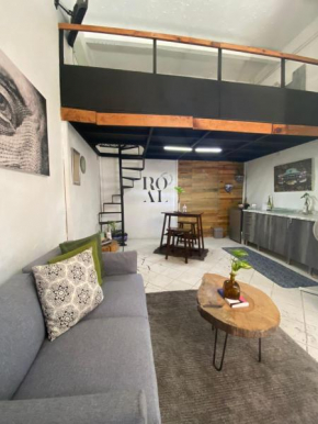 Loft Altamirano